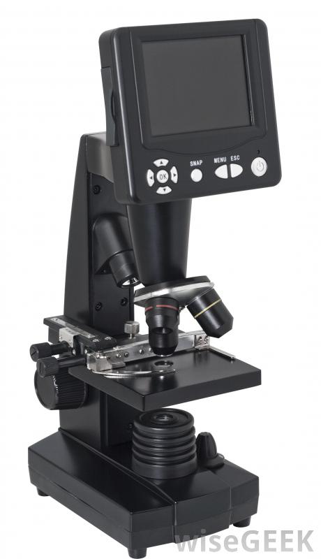 best digital microscopes for computers
